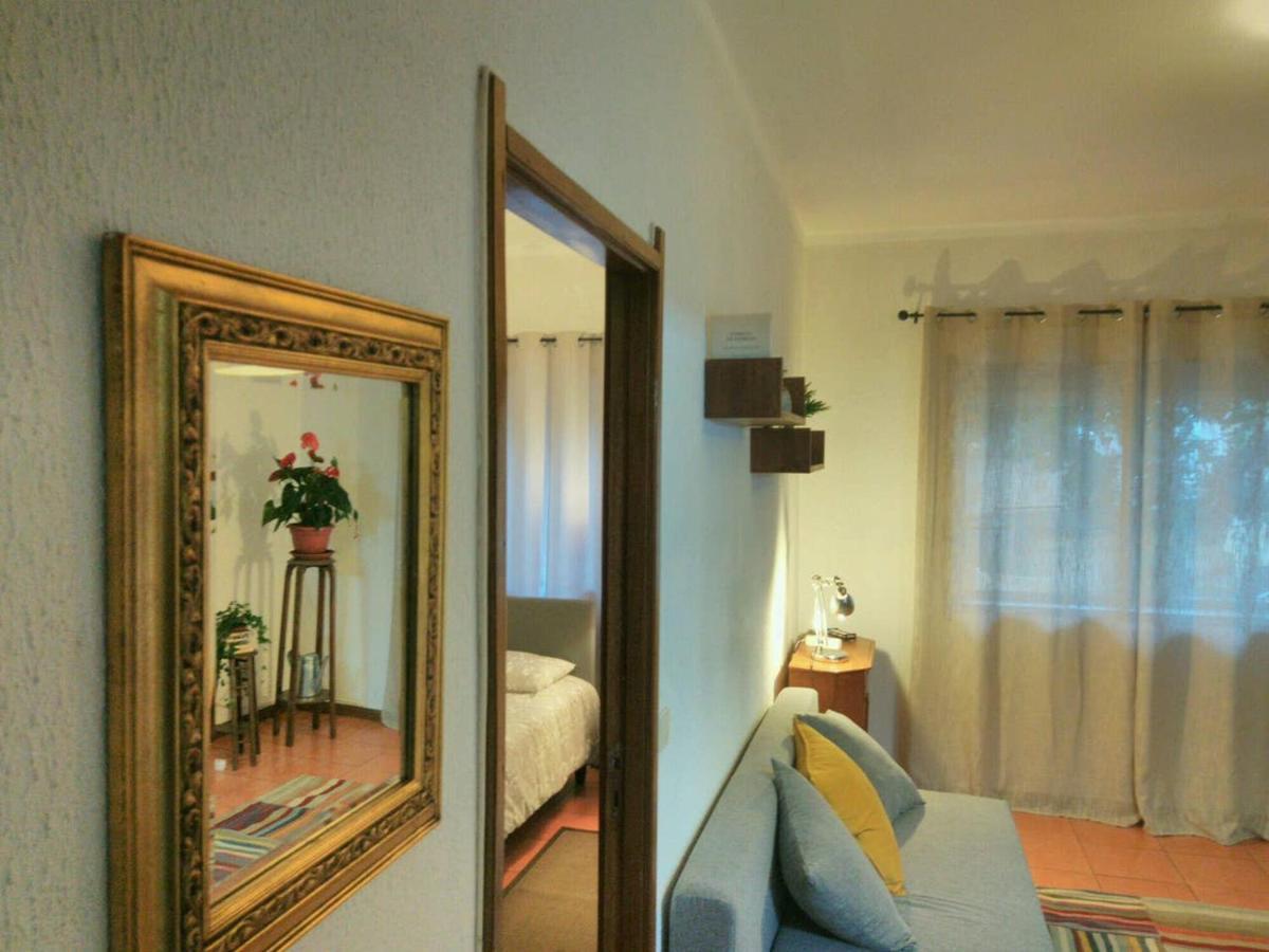 Appartement ! Free Parking Street ! Ground Floor With Washer! Oporto